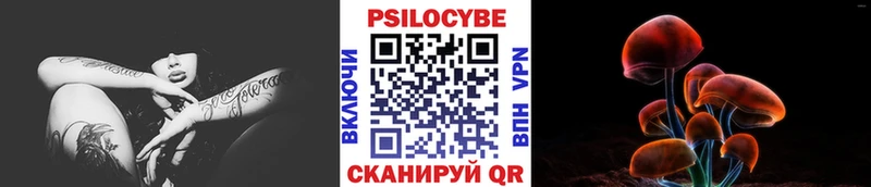 Псилоцибиновые грибы GOLDEN TEACHER  Стародуб 